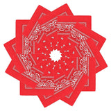 Unisex Paisley Printed Bandanas Headband & Scarfs -Assorted