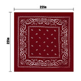 Unisex Paisley Printed Bandanas Headband & Scarfs -Assorted