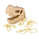 10" Dinosaur Fossil Skull Set of 2