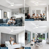IRALAN Modern Ceiling Fan with LED Light