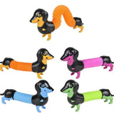 Dachshund Fidget Pop Tube In Bulk- Assorted
