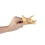 Dino Fossil  Stretchy Finger Puppet kids toys In Bulk