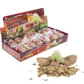 Dinosaur Fossil Egg In Bulk