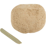 Dinosaur Fossil Egg In Bulk