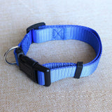 2808GP Nylon Webbing Dog Collar Heavy Duty Clip Buckle Solid Pet Collar for Small Medium Dogs Chihuahua Dog Teddy Keji Pitbull Bulldog