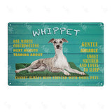 41108506902610|41108506968146