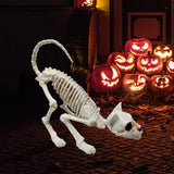 1707BA Good Halloween Skeleton Cat  Realistic Looking Eye-catching Halloween Decoration  Crouching Cat Skeleton Creepy Animal Bones