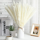 2808BA 50-60cm Pampas Grass Decor Dried Floral Arrangement Reed Bouquet  Artificial Flower Home Christmas Boho Wedding Table Decoration
