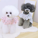 1009GP Dog Shirt Pet T-shirt Round Neck Lovely Printed Outfit Summer Puppy Two-legged Clothes Dog Clothing