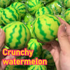 Watermelon Squishy Stress Ball – Fidget Squeeze Toy