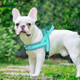 1009GP Soft No Pull Small Medium Dog Harness Nylon Pitbull Dog Puppy Harnesses Padded Pet Vest Adjustable for Small Dog Chihuahua Pug