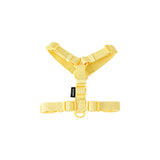 41125201608786|41125201969234