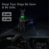 Electronic Pet LED Dog Collar - Adjustable, Flashing, Rechargeable, Reflective, and Anti-Lost