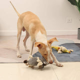Plush Dog Chew Toys