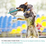 Dog Food Dispenser Toy