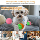 Natural Rubber Flavored Molar Ball for Safe and Fun Pet Play