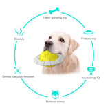 Planet Shape Squeaking Ball Dog Toy