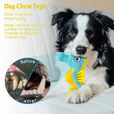 Dental Mesh Squeaky Dog Toys