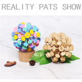 Wooden Spiral Lollipop Spinning Toys