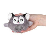 Dog Squeezy Stocking Stuffer Bead Plush -Assorted