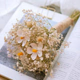 2808BA Colorful Natural Dried Flowers Small Natural Dried Floral Plants Mini Real Bouquets Home Decoration Photography Props Art Craft