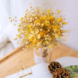 2808BA Colorful Natural Dried Flowers Small Natural Dried Floral Plants Mini Real Bouquets Home Decoration Photography Props Art Craft