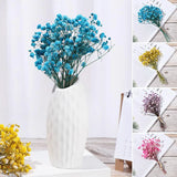 2808BA Colorful Natural Dried Flowers Small Natural Dried Floral Plants Mini Real Bouquets Home Decoration Photography Props Art Craft