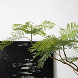Jacaranda Mimosifolia Artificial Green Plant High-End Affordable Luxury Indoor Living Room Floor Stand Decoration Clothing Store Furniture Store High Quality Decoration