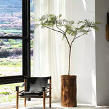 Jacaranda Mimosifolia Artificial Green Plant High-End Affordable Luxury Indoor Living Room Floor Stand Decoration Clothing Store Furniture Store High Quality Decoration