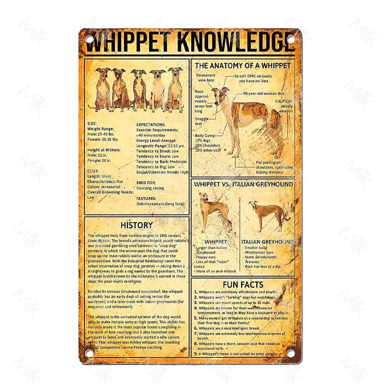 41108506443858|41108507066450