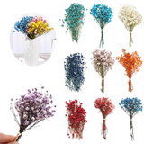 2808BA Colorful Natural Dried Flowers Small Natural Dried Floral Plants Mini Real Bouquets Home Decoration Photography Props Art Craft